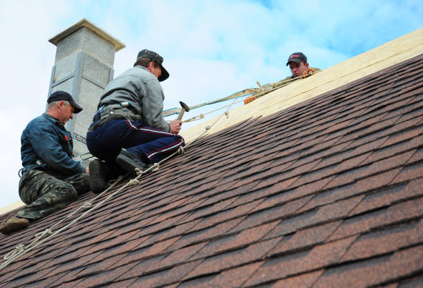Roof Gutter Cleaning in Centralia, WA